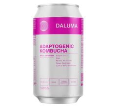 Daluma Magic Mushroom Drachenfrucht Adaptogenic Kombucha