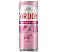 DIAGEO Germany GmbH Gordon´s Pink Gin & Tonic 10% 