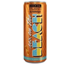 Niehoffs Vaihinger Fruchtsaft GmbH Cocktail Plant Sex on the Beach