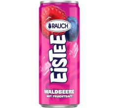 RAUCH Fruchts&auml;fte Deutschland GmbH Rauch Eistee Berries