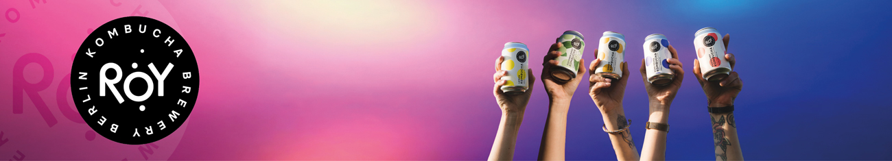 Roy Kombucha Bio in Dosen bei DosenExpress