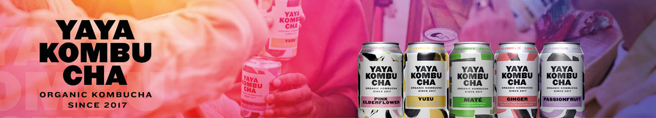 Yaya Kombucha Bio in Dosen bei DosenExpress